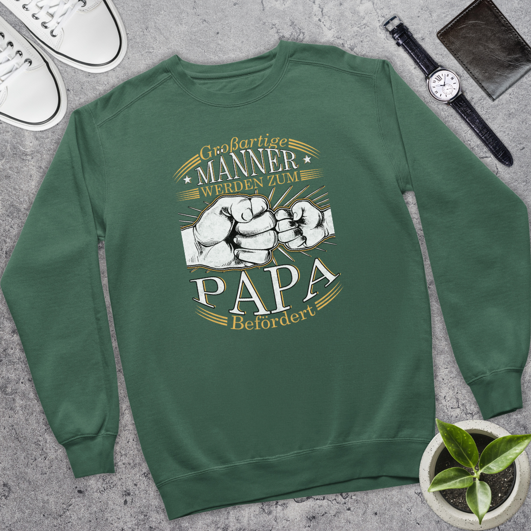 Großartige Männer - Bio Pullover