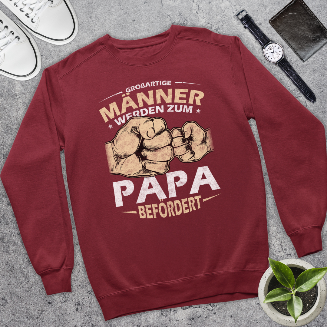 Großartige Männer II - Bio Pullover