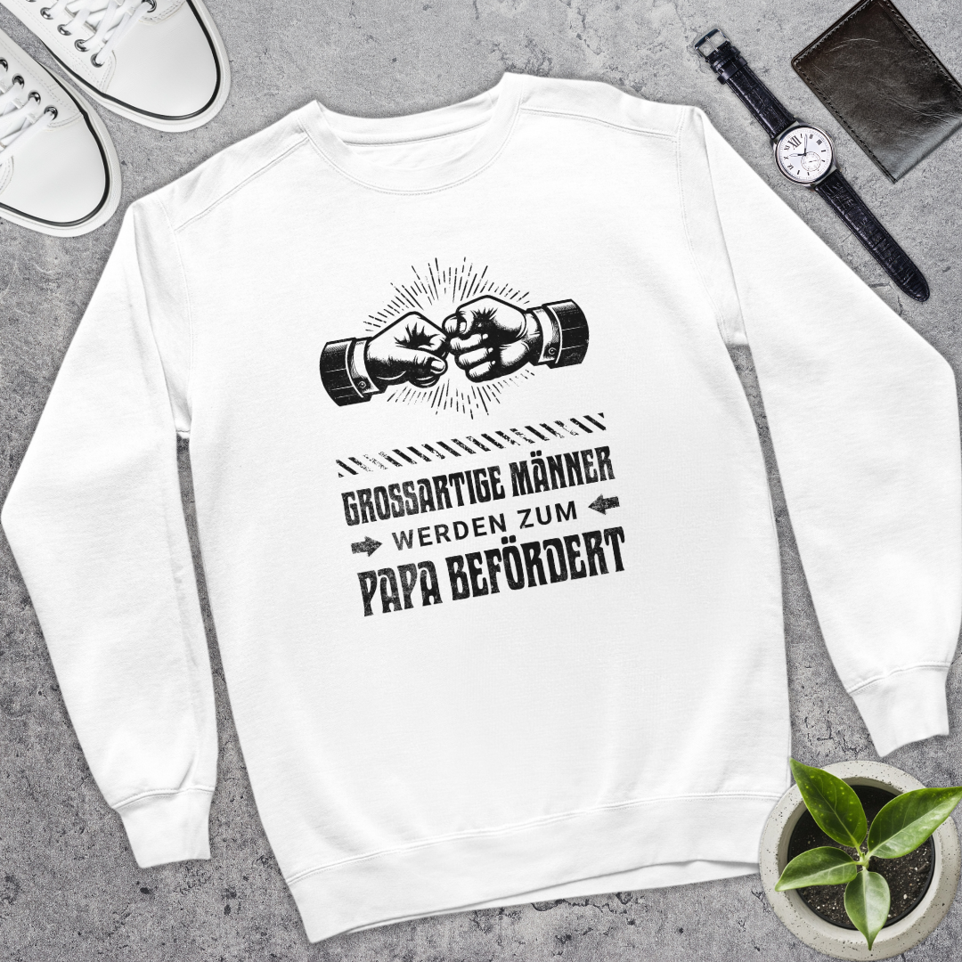 Großartige Männer III - Bio Pullover