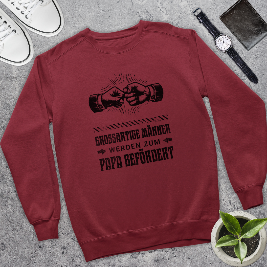 Großartige Männer III - Bio Pullover