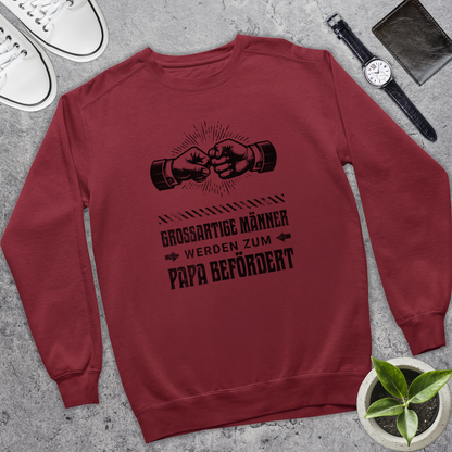 Großartige Männer III - Bio Pullover