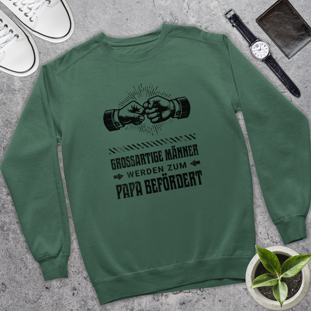 Großartige Männer III - Bio Pullover