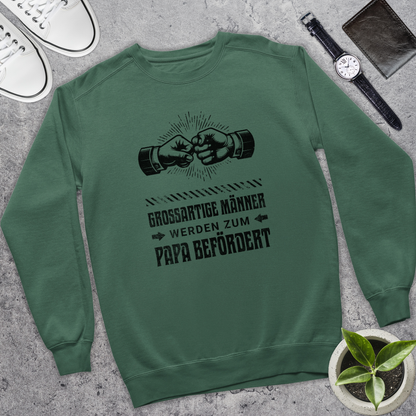 Großartige Männer III - Bio Pullover