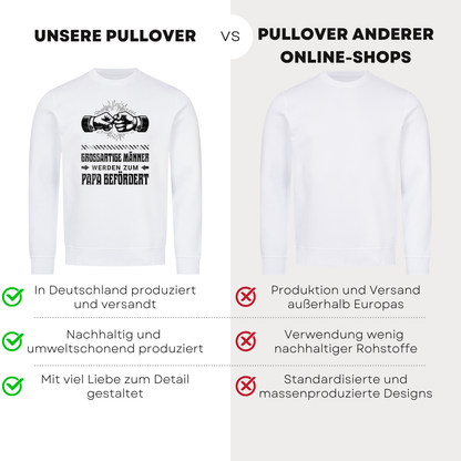 Großartige Männer III - Bio Pullover