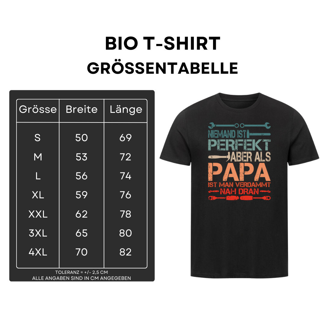 Niemand ist perfekt II - Bio T-Shirt