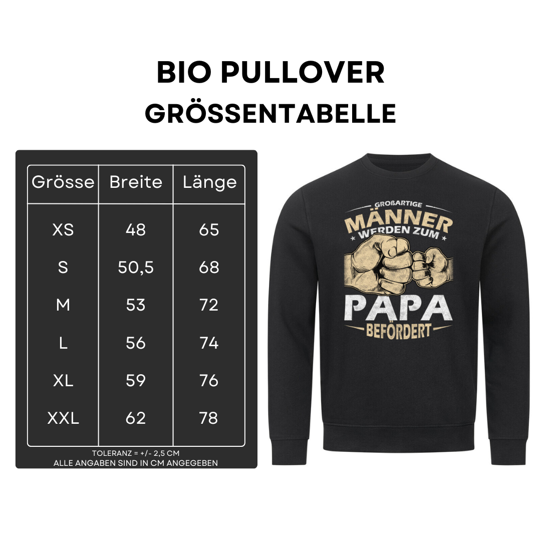 Großartige Männer II - Bio Pullover