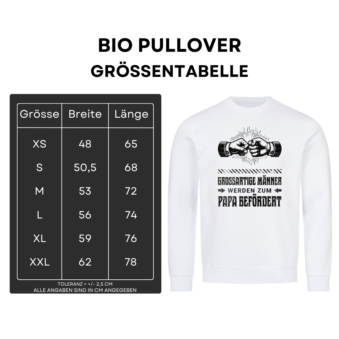 Großartige Männer III - Bio Pullover